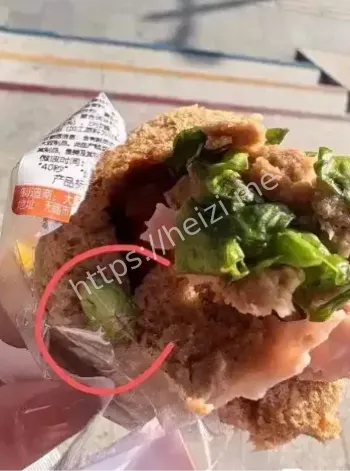 三明治吃出虫子女子维权